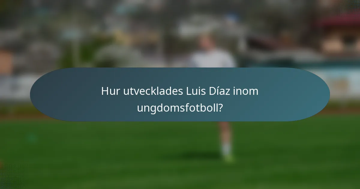 Hur utvecklades Luis Díaz inom ungdomsfotboll?